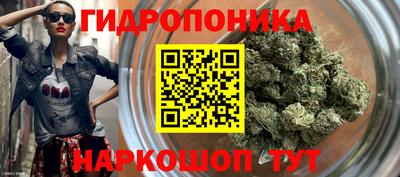 амф Будённовск