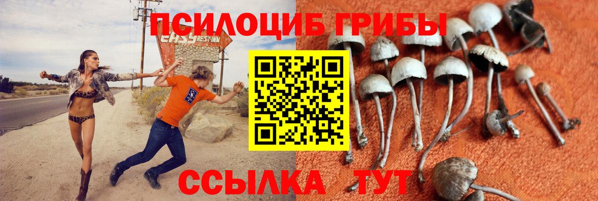 Лиски  Галлюциногенные грибы ЛСД  Вход с VPN 